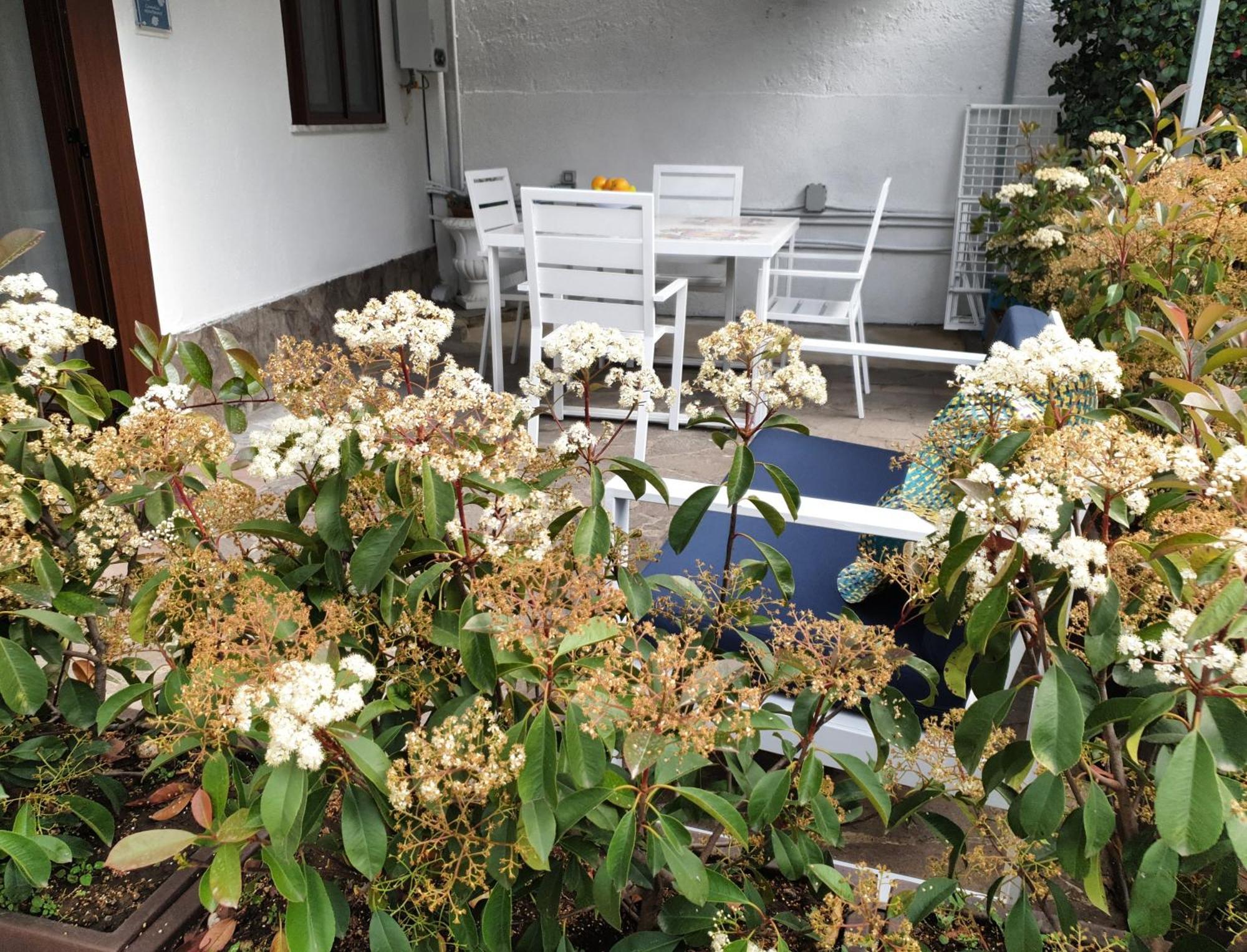 Holiday home Dafne *